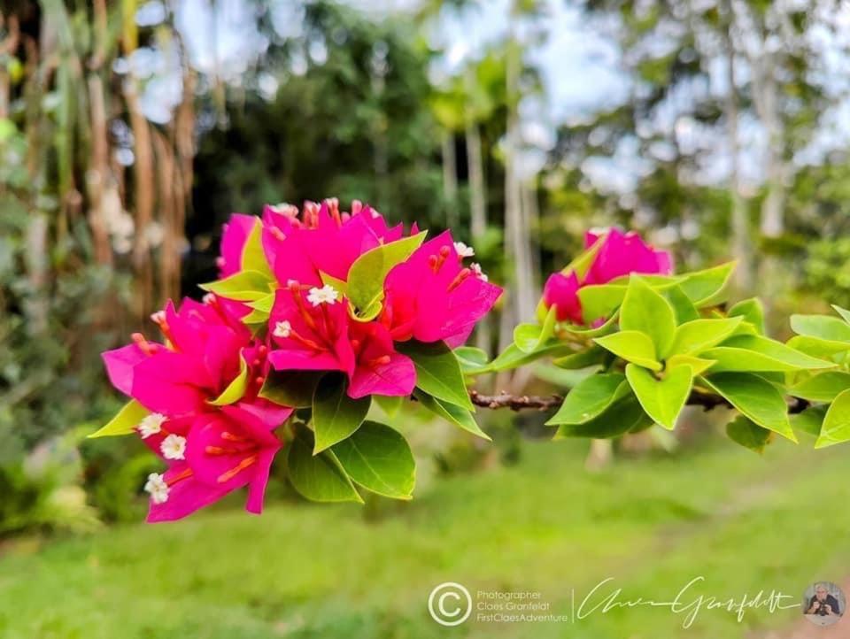 Phurin Thara Resort Ko Lanta Екстериор снимка